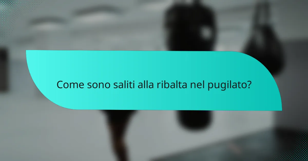 Come sono saliti alla ribalta nel pugilato?